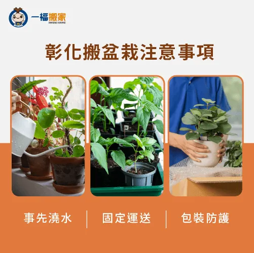 彰化造型盆栽搬運注意事項-彰化造型盆栽搬運