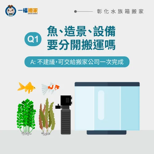 彰化搬水族箱的準備-彰化水族箱搬家