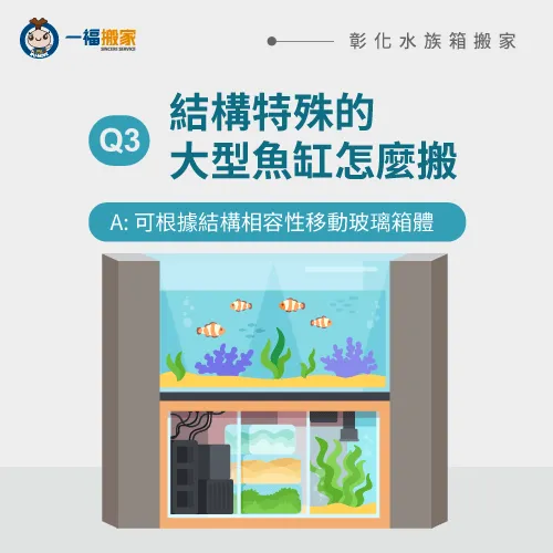 結構特殊的水族箱搬運方式-彰化水族箱搬家